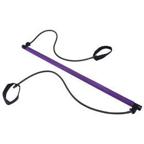 Chest Expander Puller (Color: Purple)